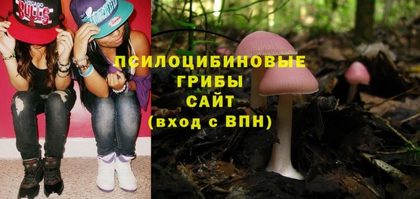 бошки Верхний Тагил